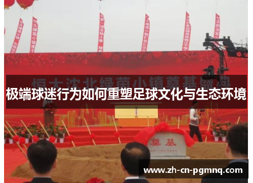 极端球迷行为如何重塑足球文化与生态环境