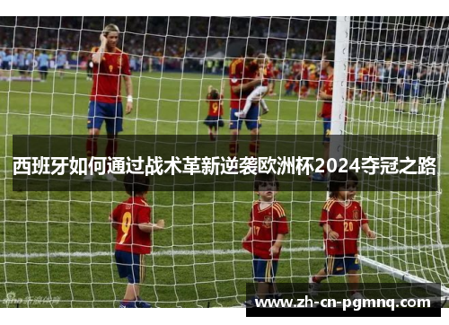 西班牙如何通过战术革新逆袭欧洲杯2024夺冠之路