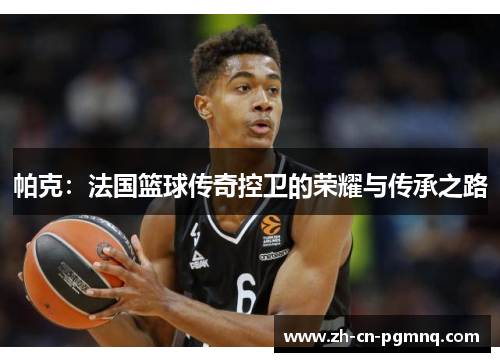 帕克：法国篮球传奇控卫的荣耀与传承之路
