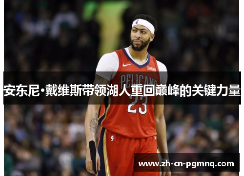 安东尼·戴维斯带领湖人重回巅峰的关键力量