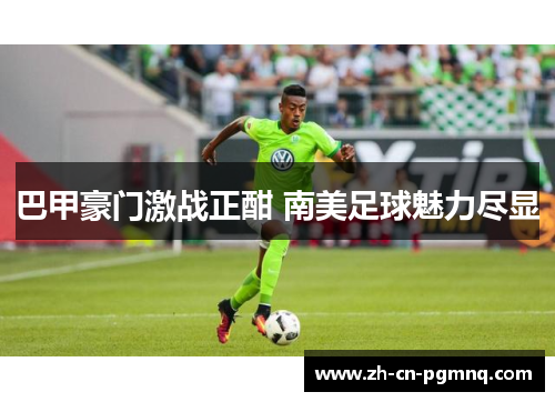 巴甲豪门激战正酣 南美足球魅力尽显